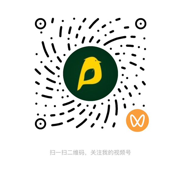 谱林鸟视频号二维码
