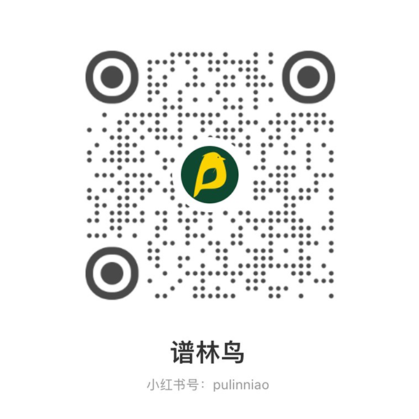谱林鸟小红书二维码